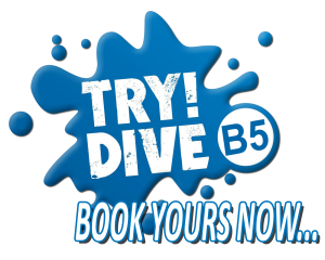 try-dive-logo12